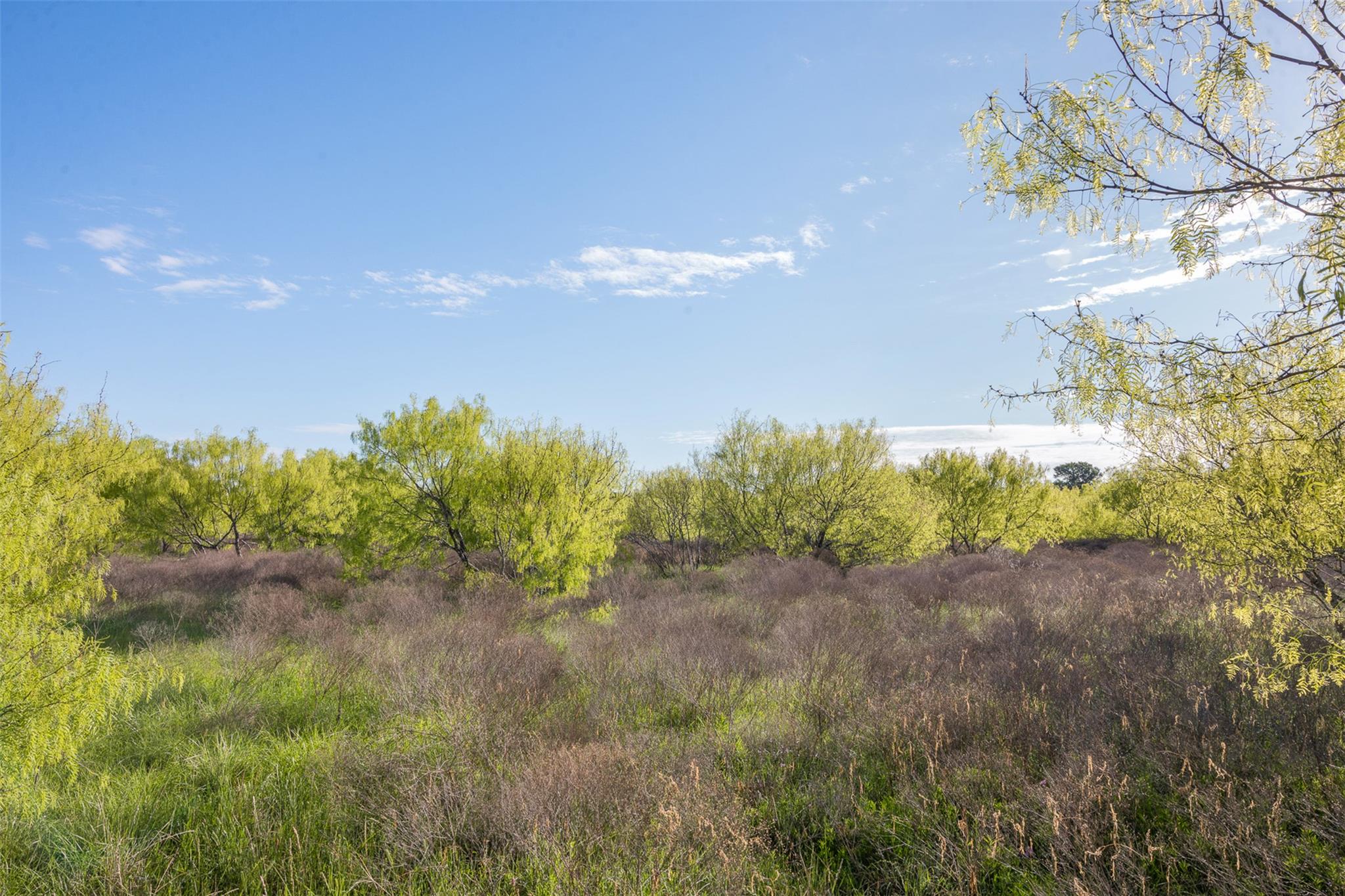 0000 County Road 414 Buckholts TX 76518