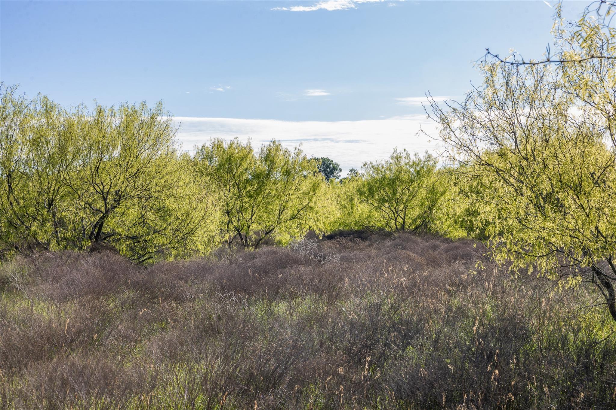 0000 County Road 414 Buckholts TX 76518