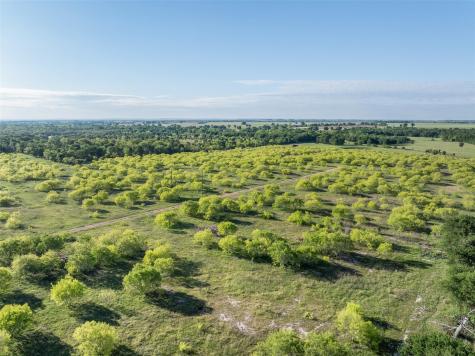0 County Road 414 Buckholts TX 76518