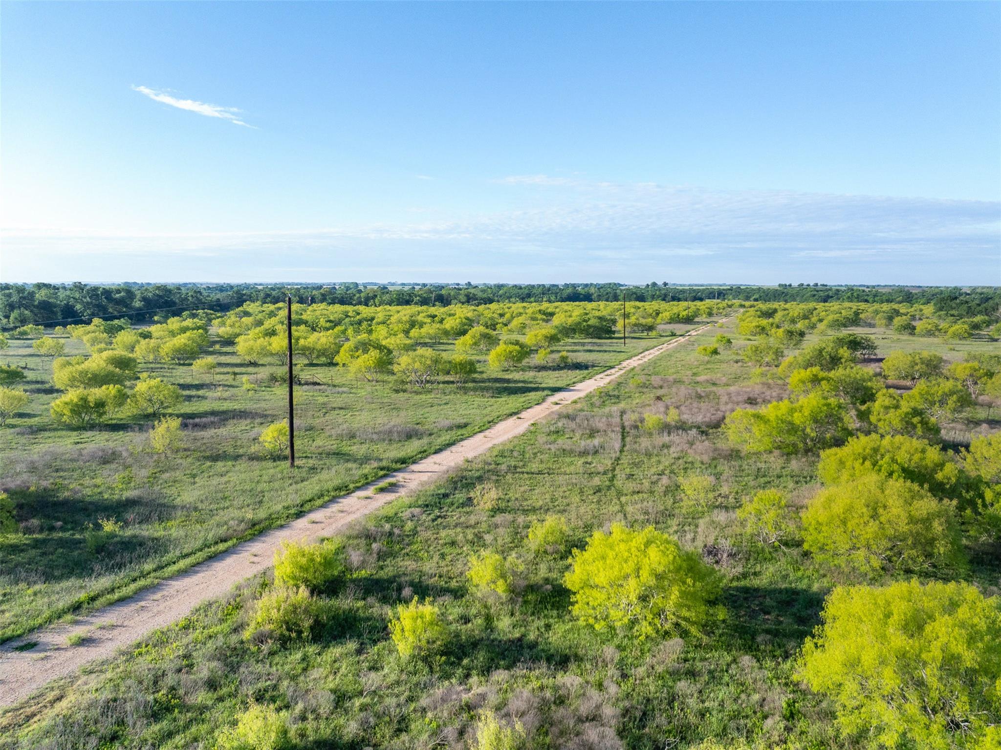 0000 County Road 414 Buckholts TX 76518