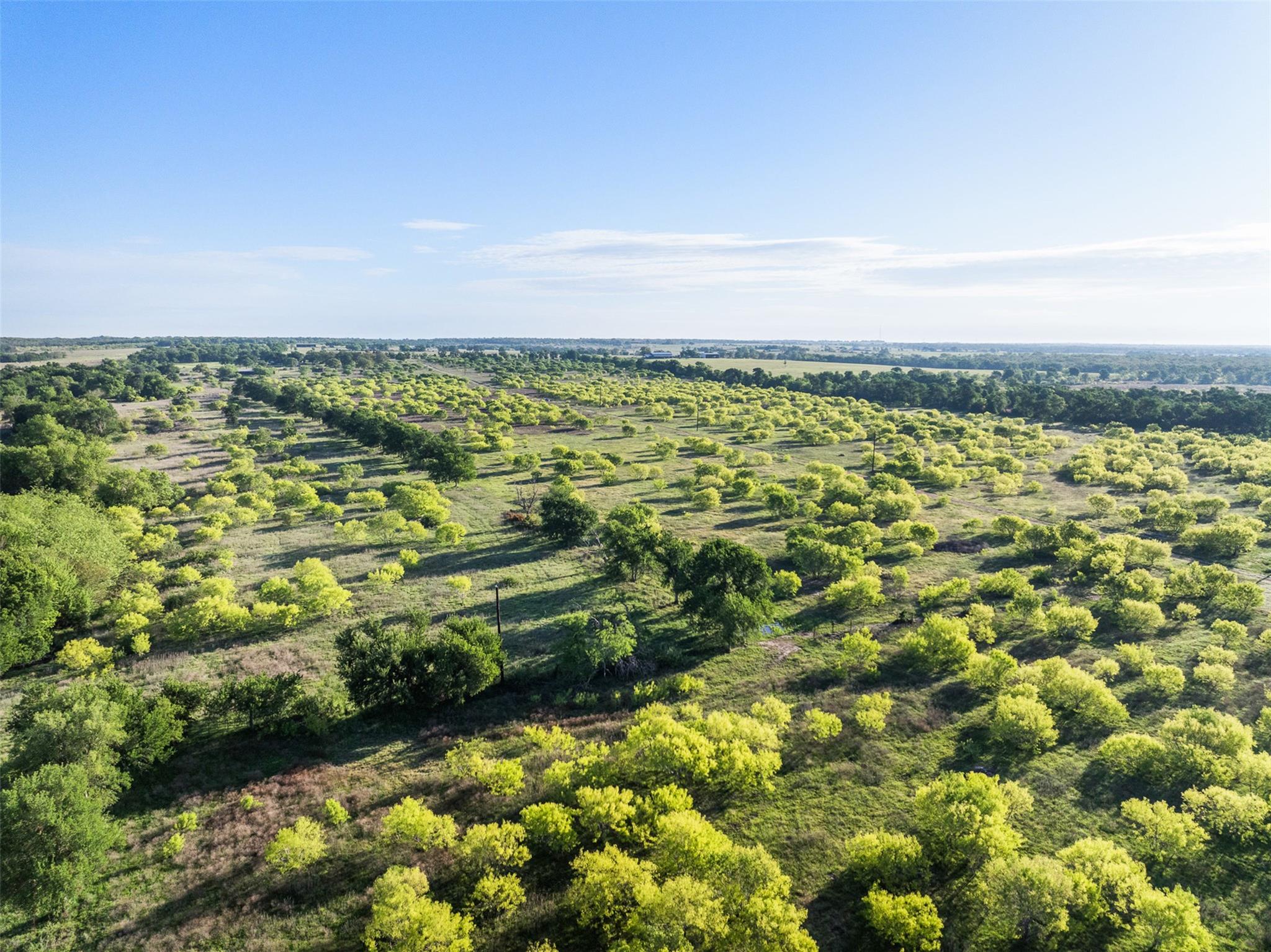 0000 County Road 414 Buckholts TX 76518
