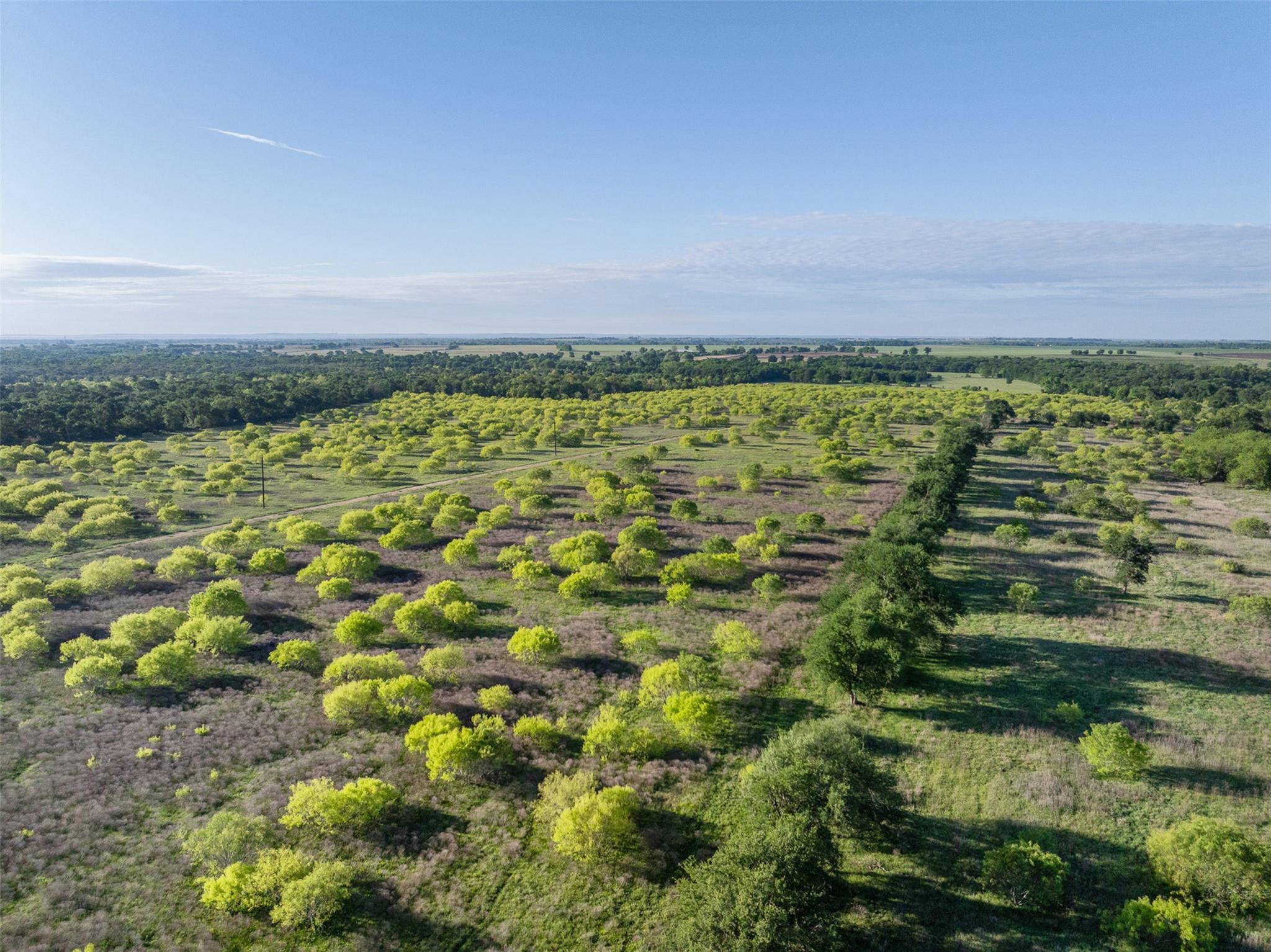 0000 County Road 414 Buckholts TX 76518