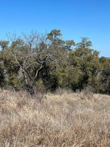 Lot 25 Southview Court Kingsland TX 78639