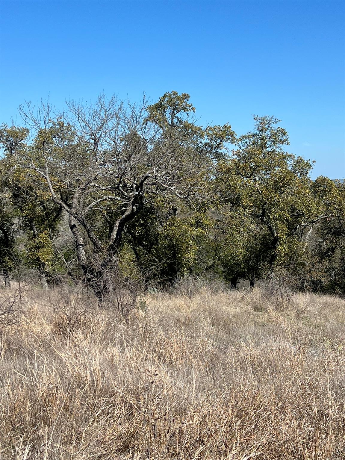 Lot 25 Southview Court Kingsland TX 78639