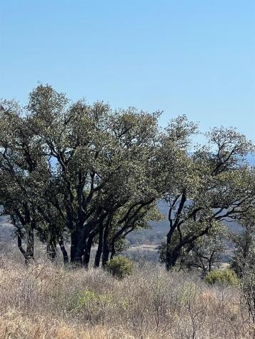 Lot 25 Southview Court Kingsland TX 78639