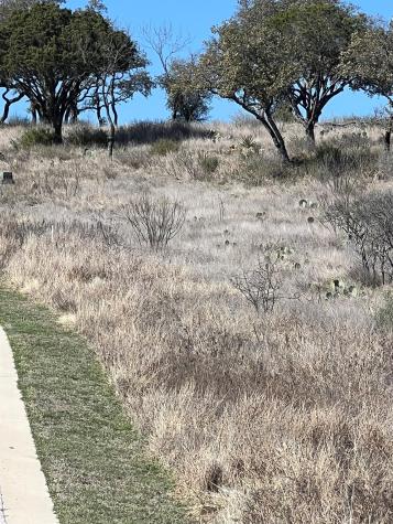Lot 25 Southview Court Kingsland TX 78639