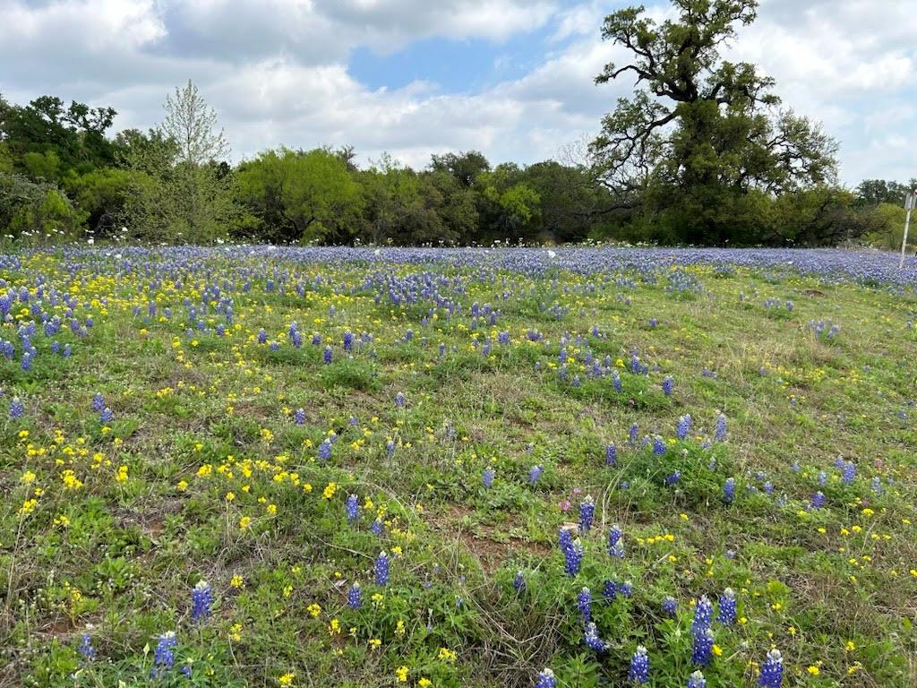 W34012 Apache Tears Horseshoe Bay TX 78657
