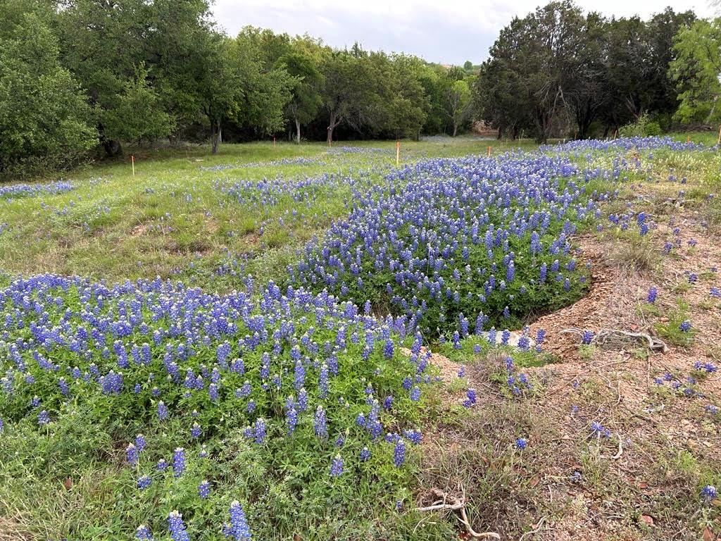 W34012 Apache Tears Horseshoe Bay TX 78657