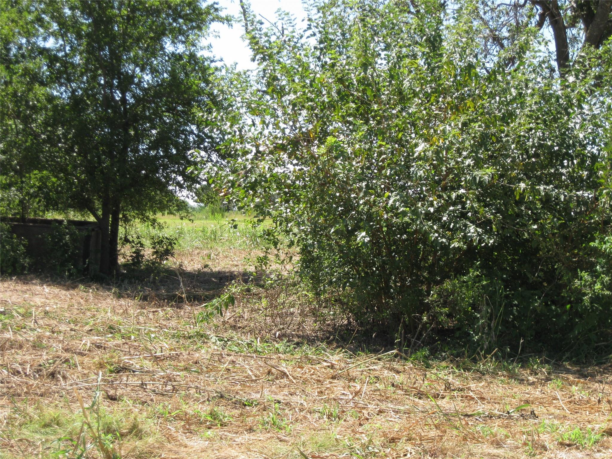 00 County Road 133 Hutto TX 78634