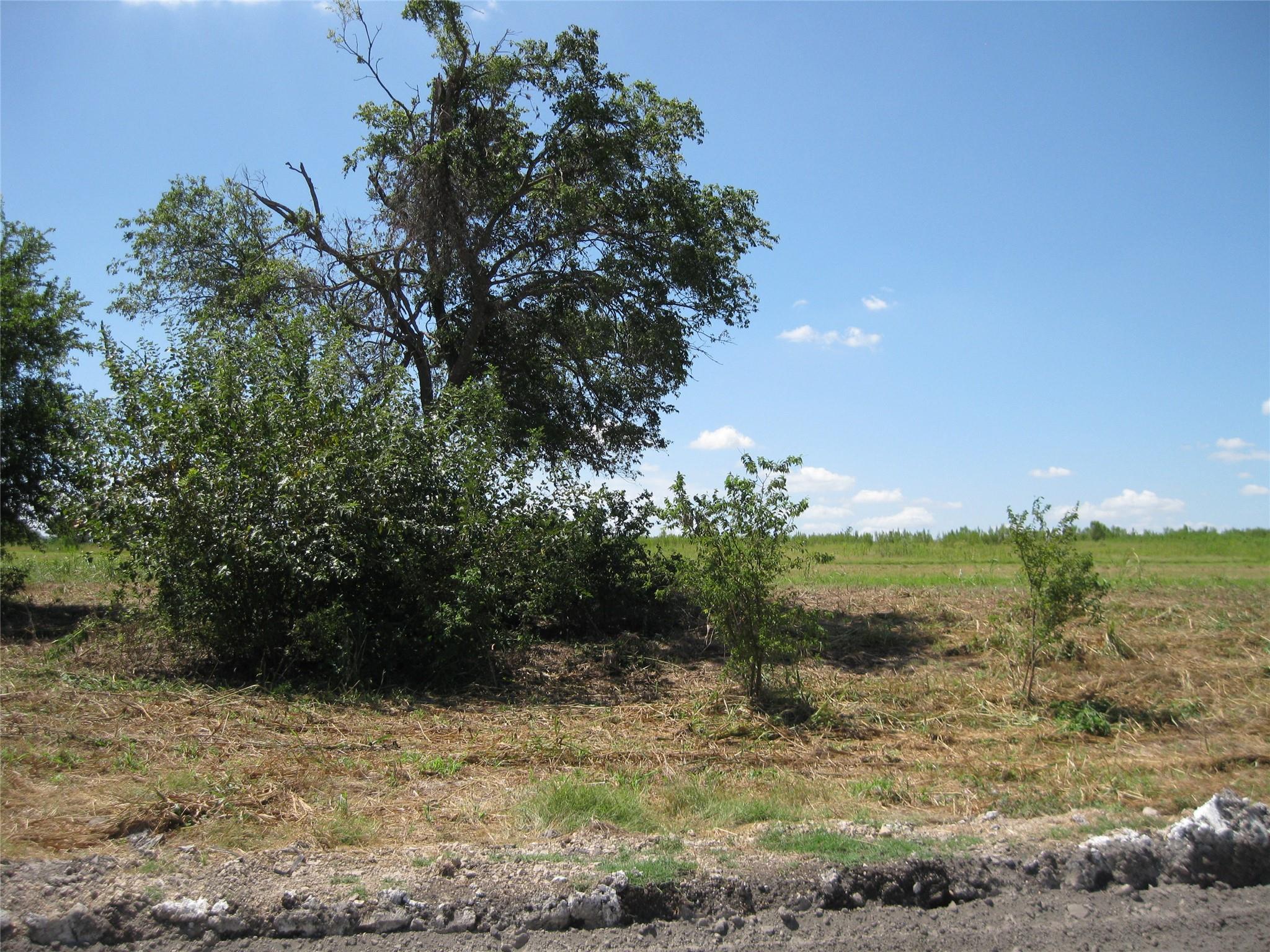 00 County Road 133 Hutto TX 78634