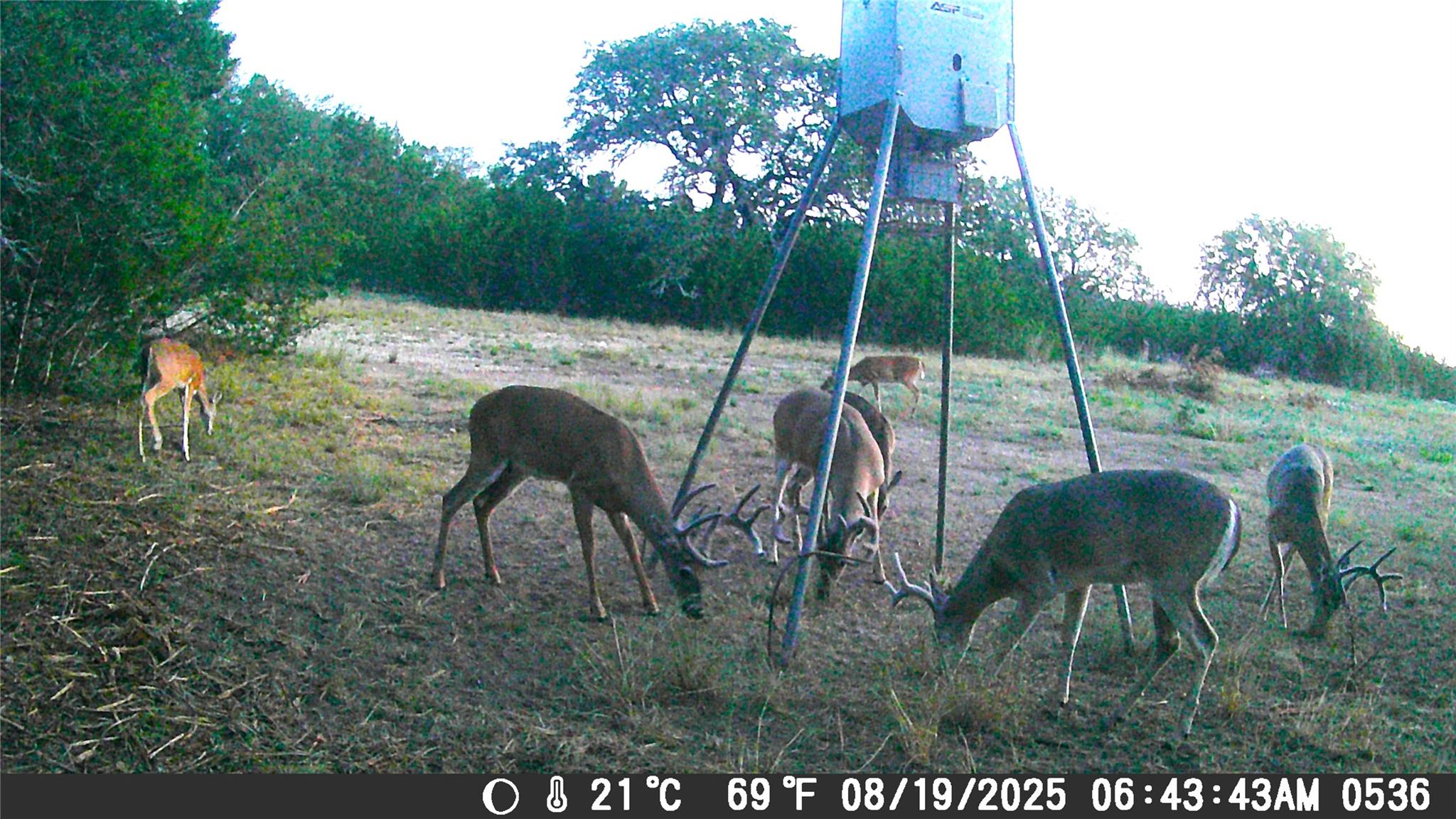 Tbd Cr 206 Lampasas TX 76550