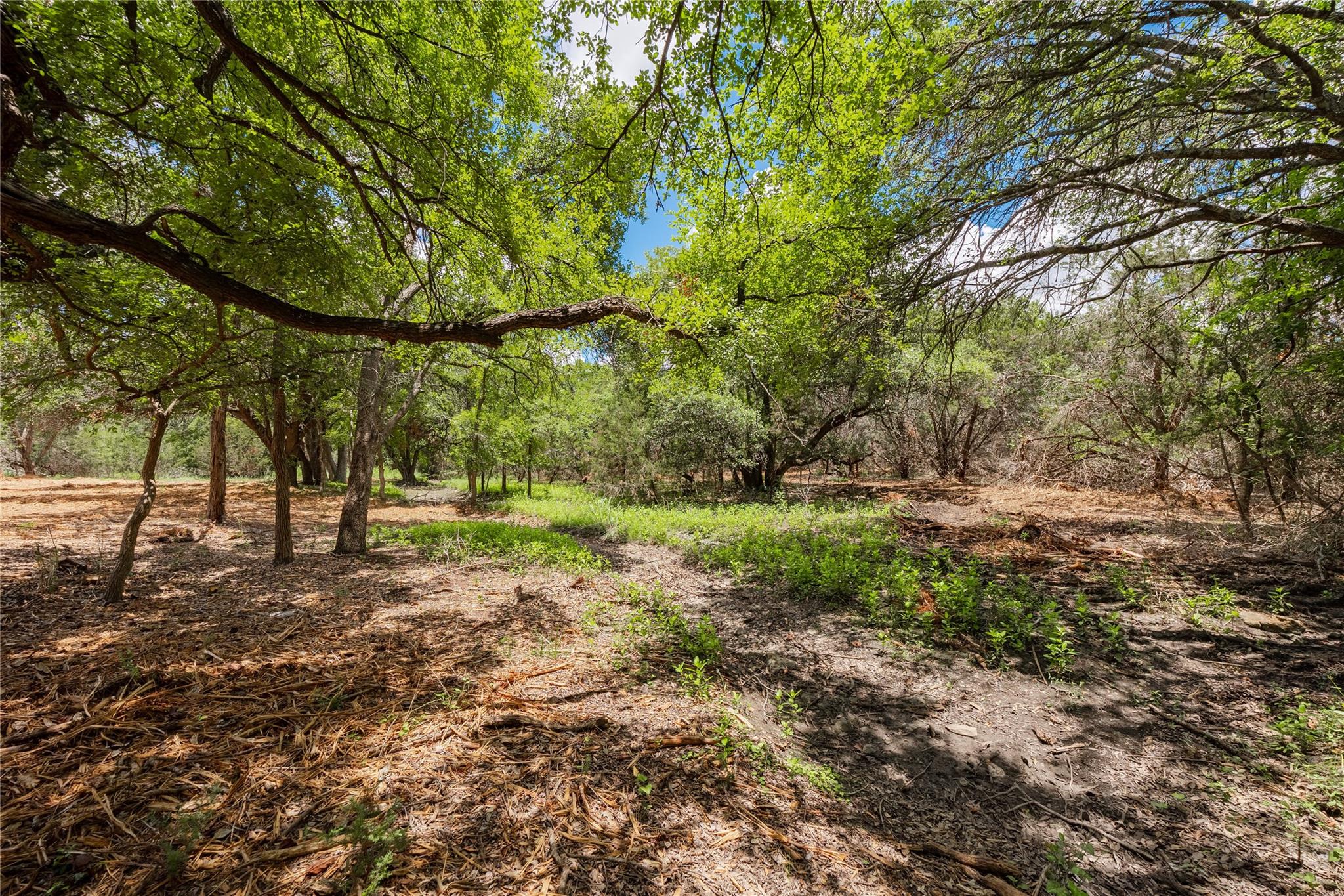 250 E Ridgewood Road Georgetown TX 78633