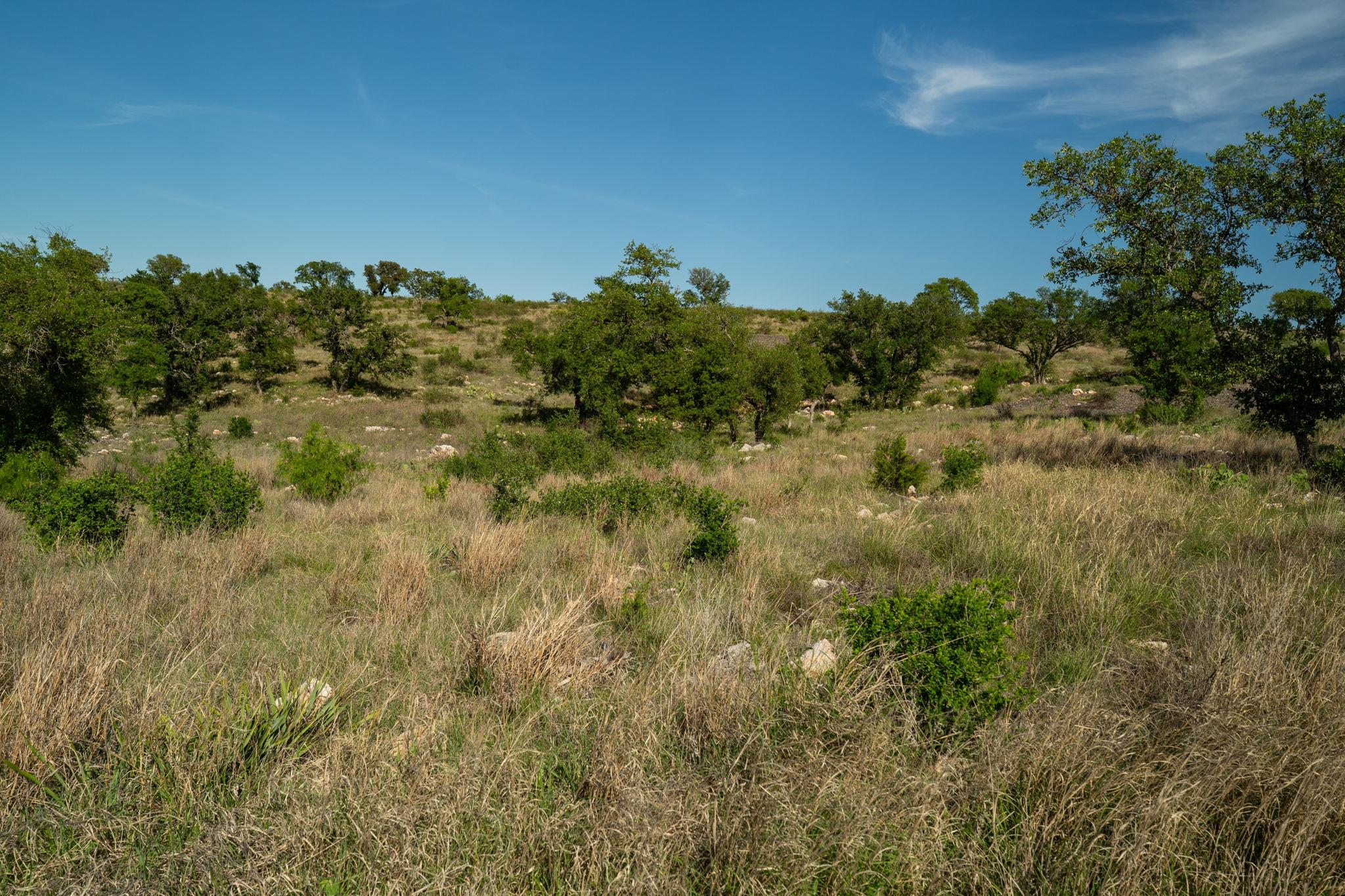 Lot 202 Tbd Westridge Way, Big Creek Ranch Kingsland TX 78639