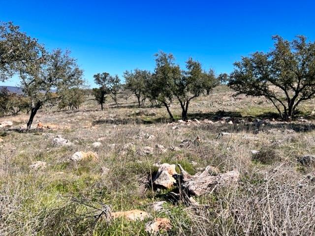 Lot 202 Tbd Westridge Way, Big Creek Ranch Kingsland TX 78639