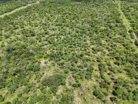 Lot 3 County Road 211 Smiley TX 78159