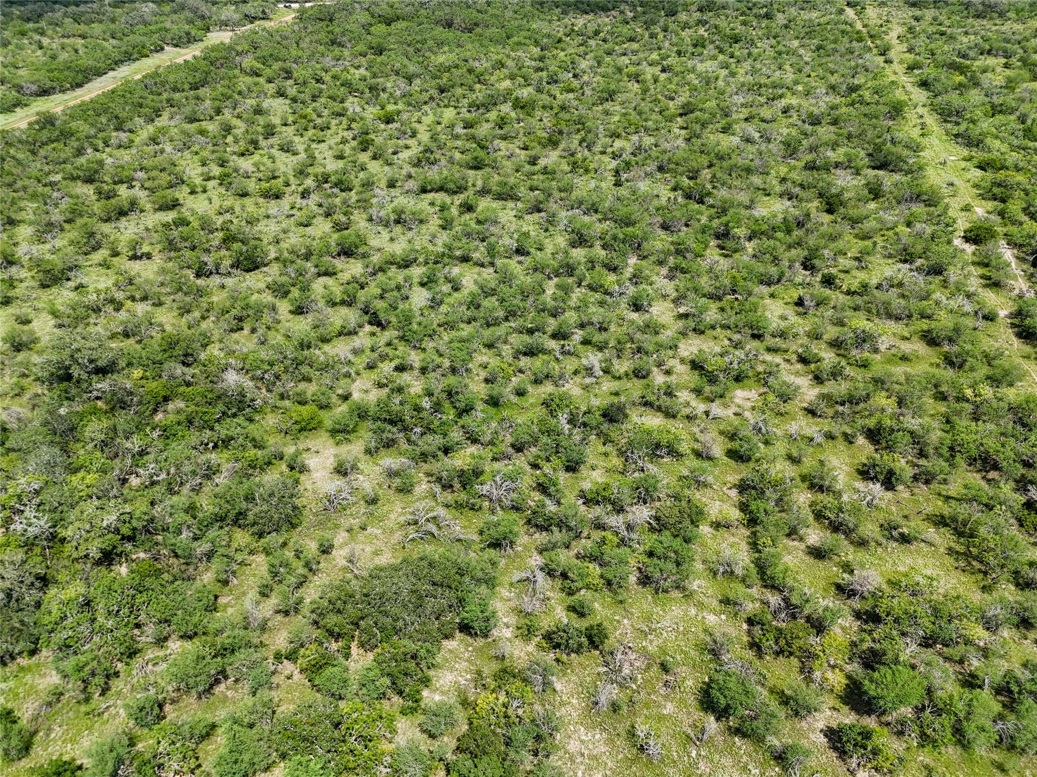 Lot 3 County Road 211 Smiley TX 78159