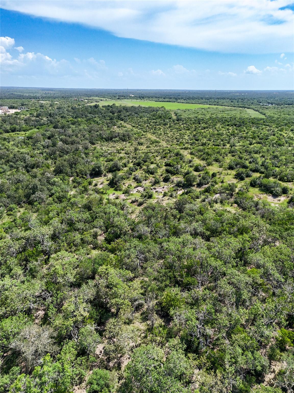 Lot 3 County Road 211 Smiley TX 78159