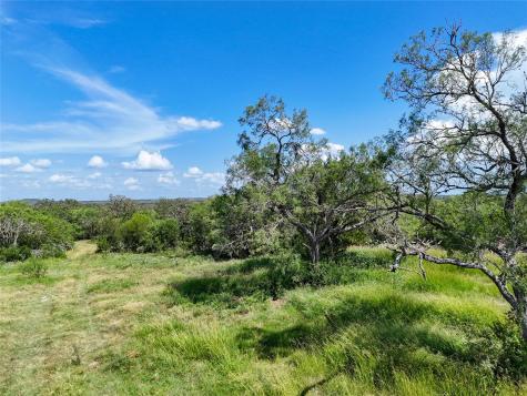 Lot 3 County Road 211 Smiley TX 78159