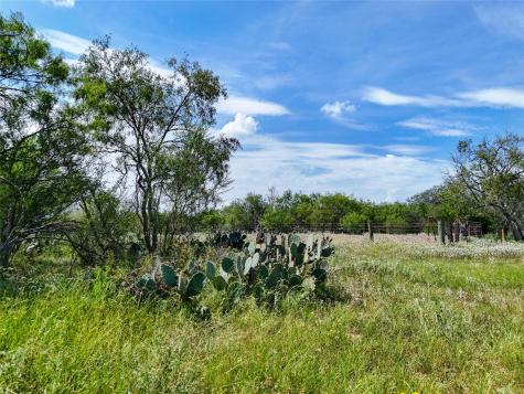 Lot 3 County Road 211 Smiley TX 78159