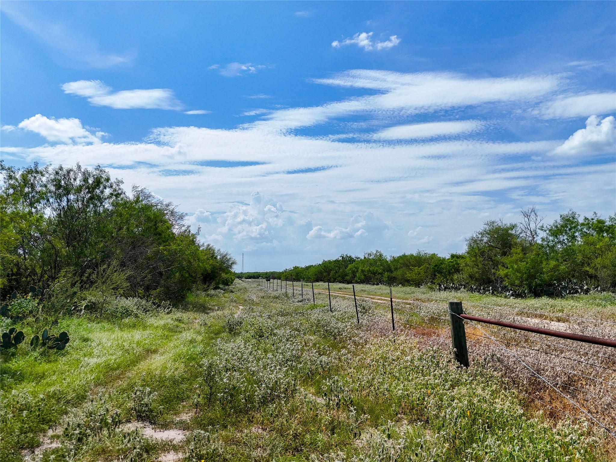 Lot 3 County Road 211 Smiley TX 78159