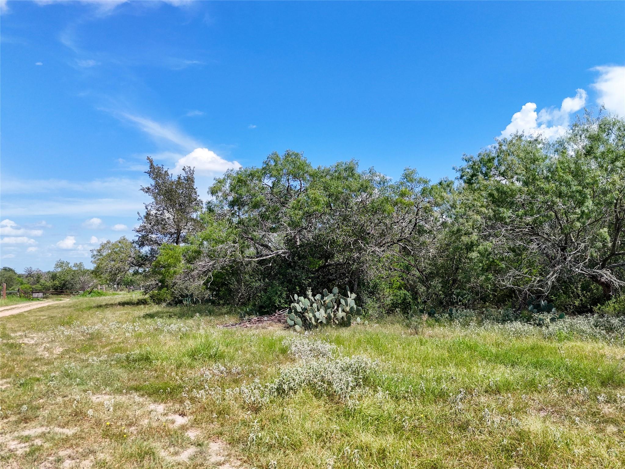 Lot 3 County Road 211 Smiley TX 78159