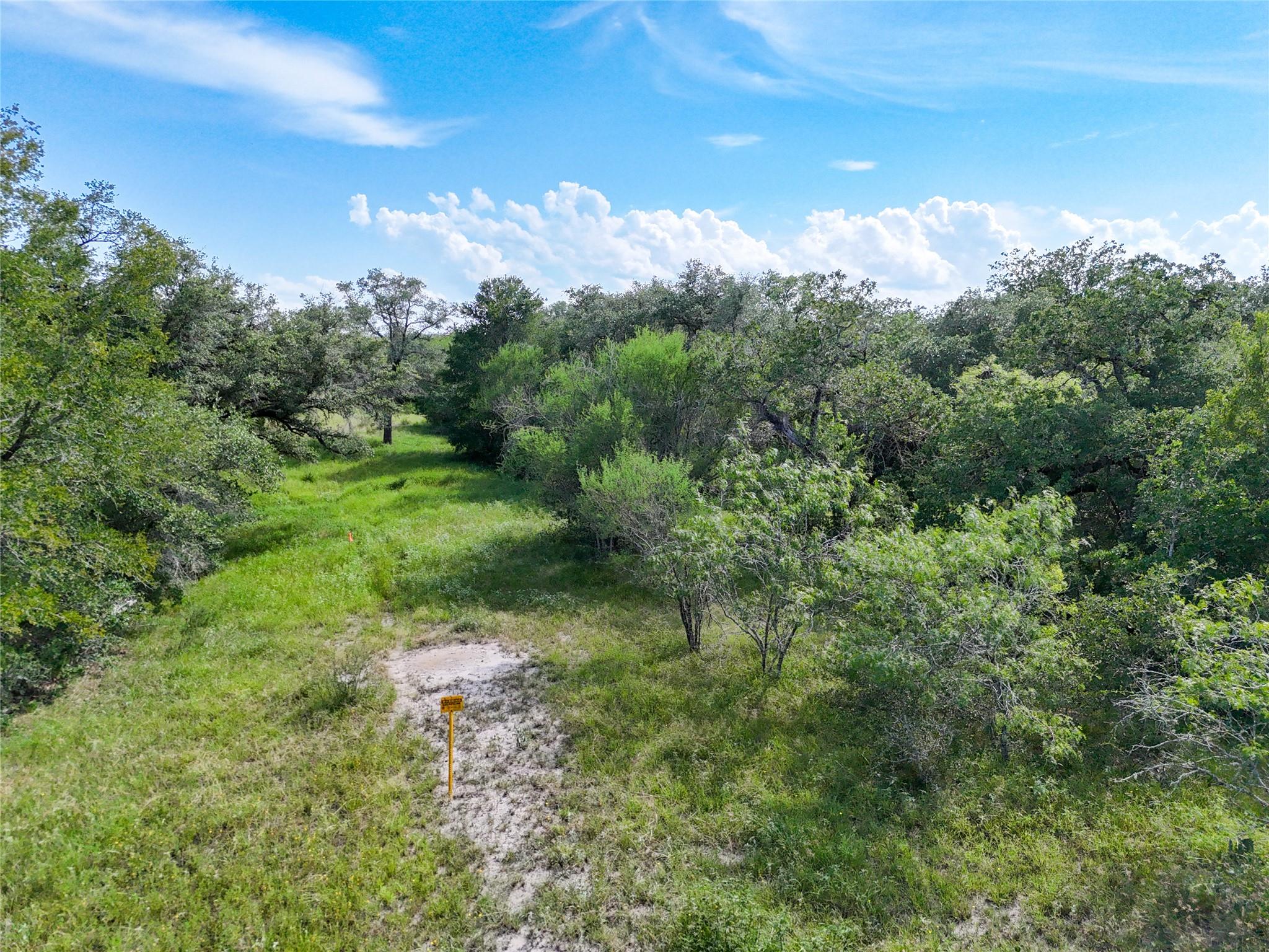 Lot 3 County Road 211 Smiley TX 78159