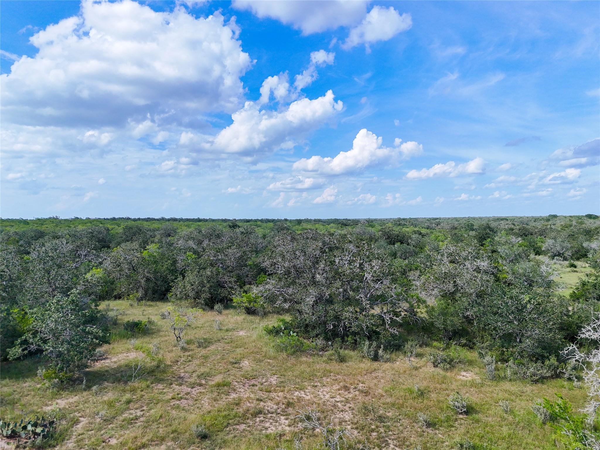 Lot 3 County Road 211 Smiley TX 78159