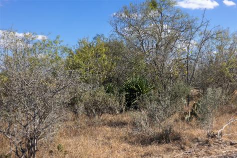 Lot 3 County Road 211 Smiley TX 78159