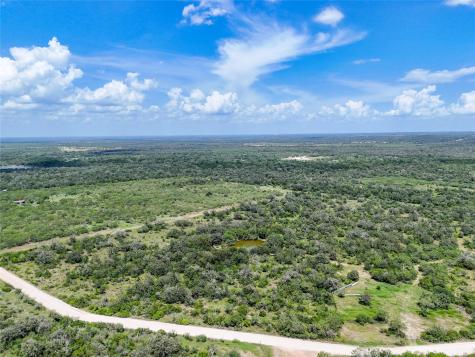 Lot 3 County Road 211 Smiley TX 78159