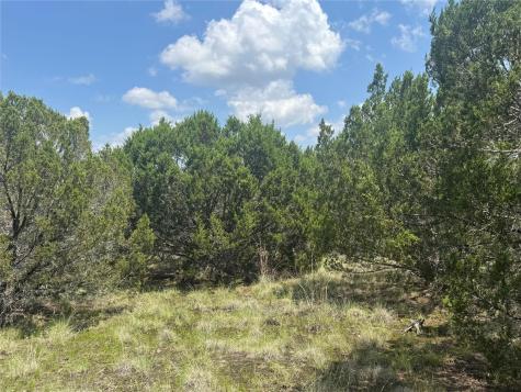 Lot 52 Long View Drive Lampasas TX 76550