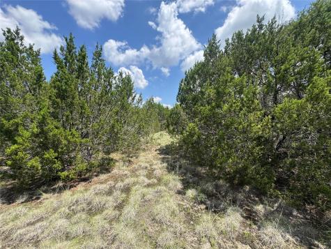 Lot 52 Long View Drive Lampasas TX 76550
