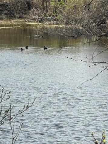 Lot K8023 Dew Drop Horseshoe Bay TX 78657