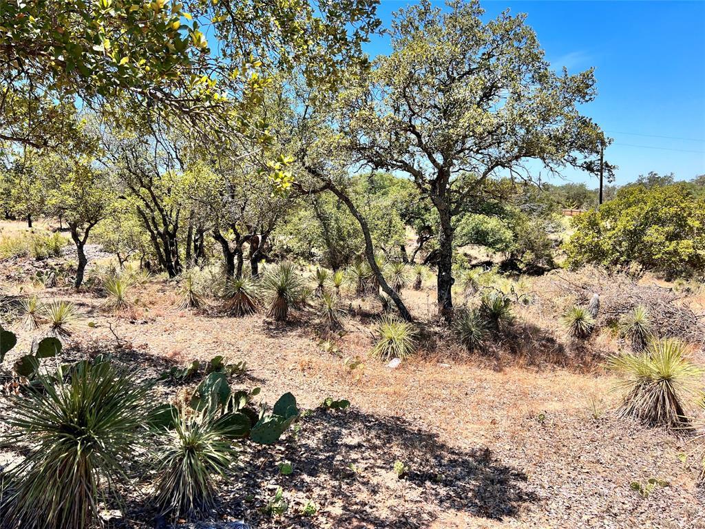 Lots 284-286 Tbd W Castlelake Drive Granite Shoals TX 78654