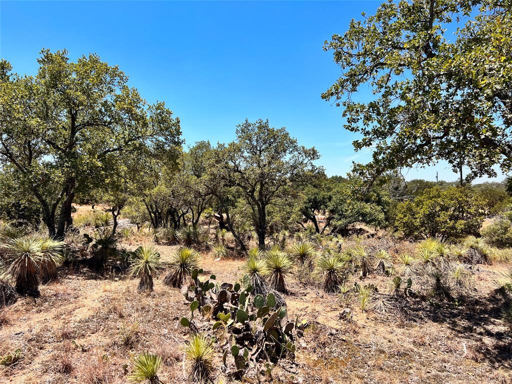 Lots 284-286 Tbd W Castlelake Drive Granite Shoals TX 78654