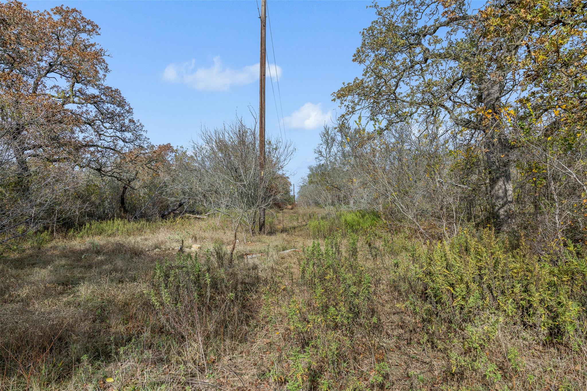 970 Bugtussle Lane Luling TX 78648