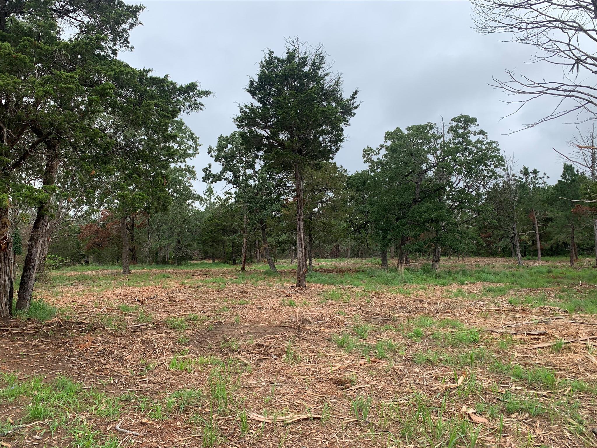 000 Pine Valley Loop Smithville TX 78612