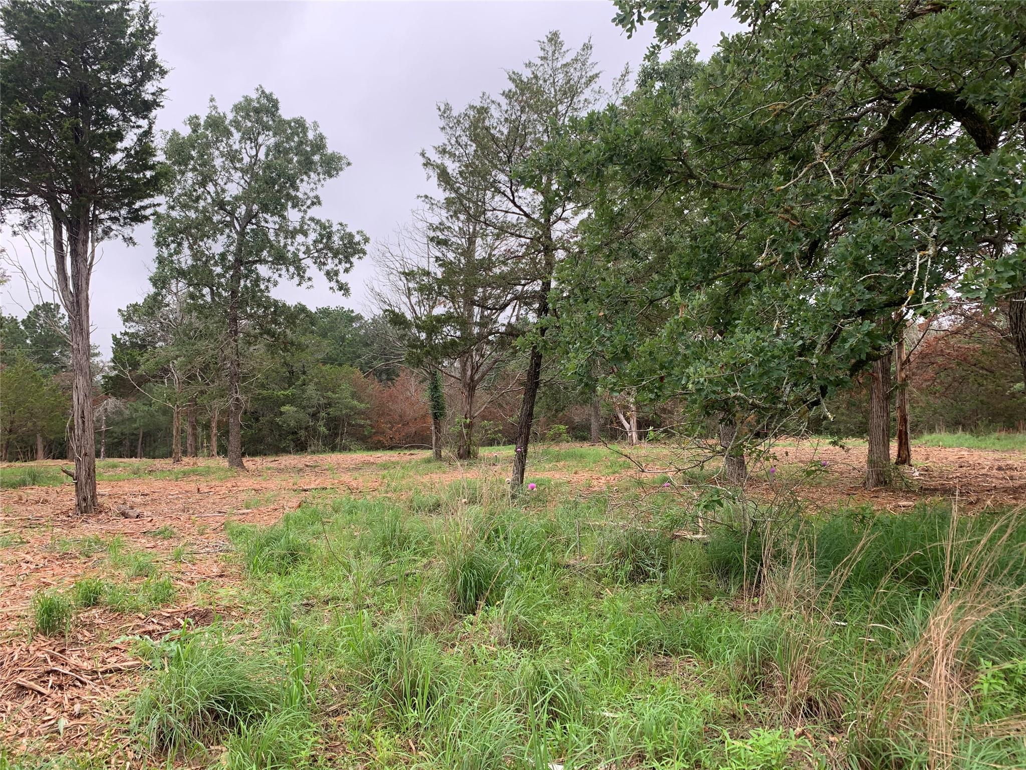 000 Pine Valley Loop Smithville TX 78612
