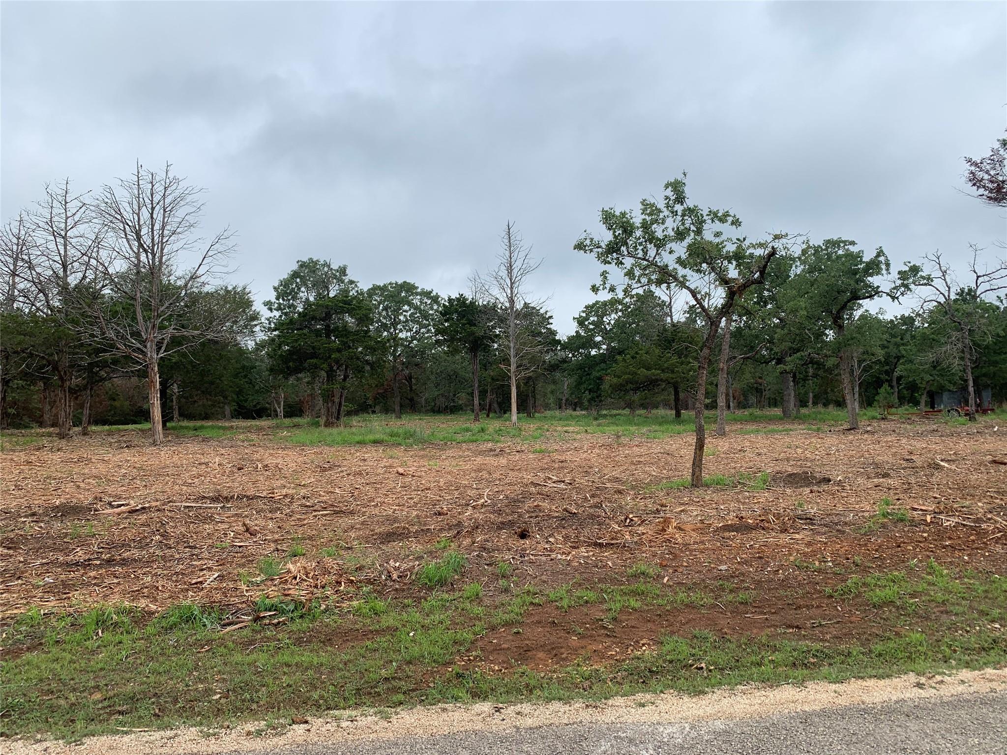 000 Pine Valley Loop Smithville TX 78612