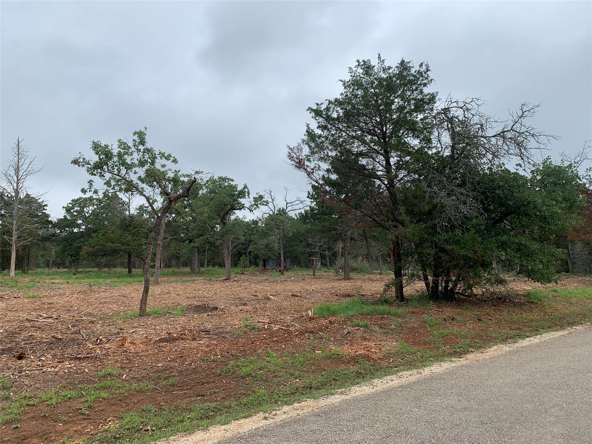 000 Pine Valley Loop Smithville TX 78612