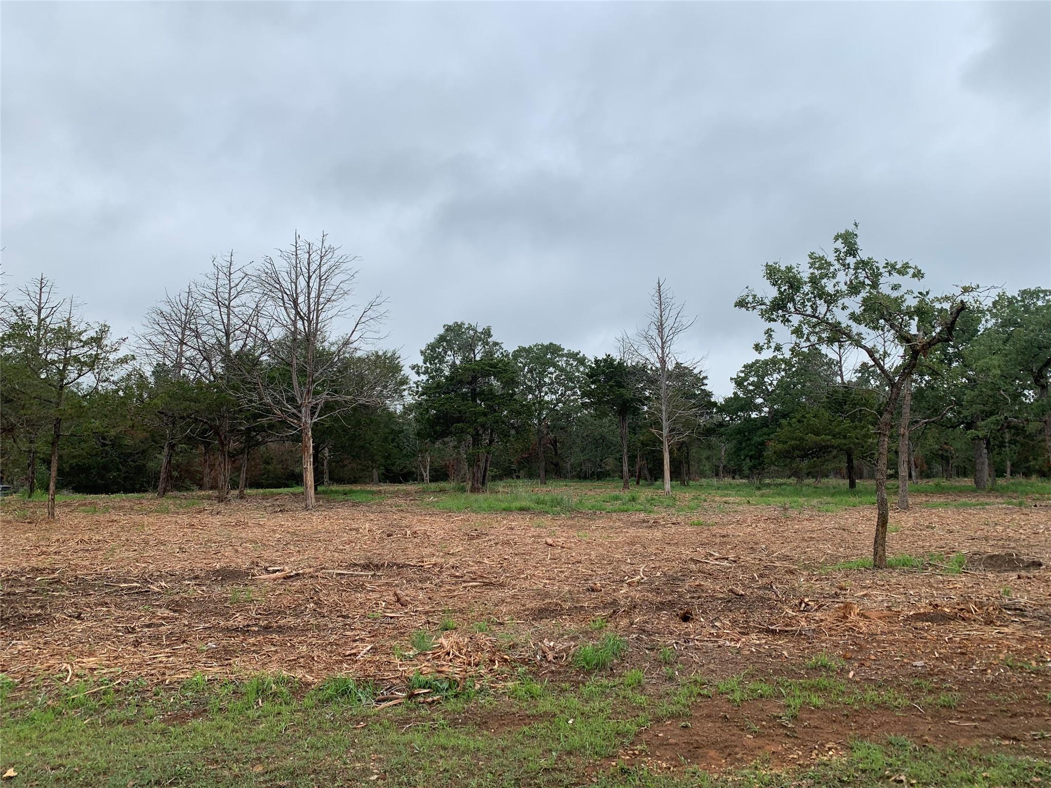 000 Pine Valley Loop Smithville TX 78612