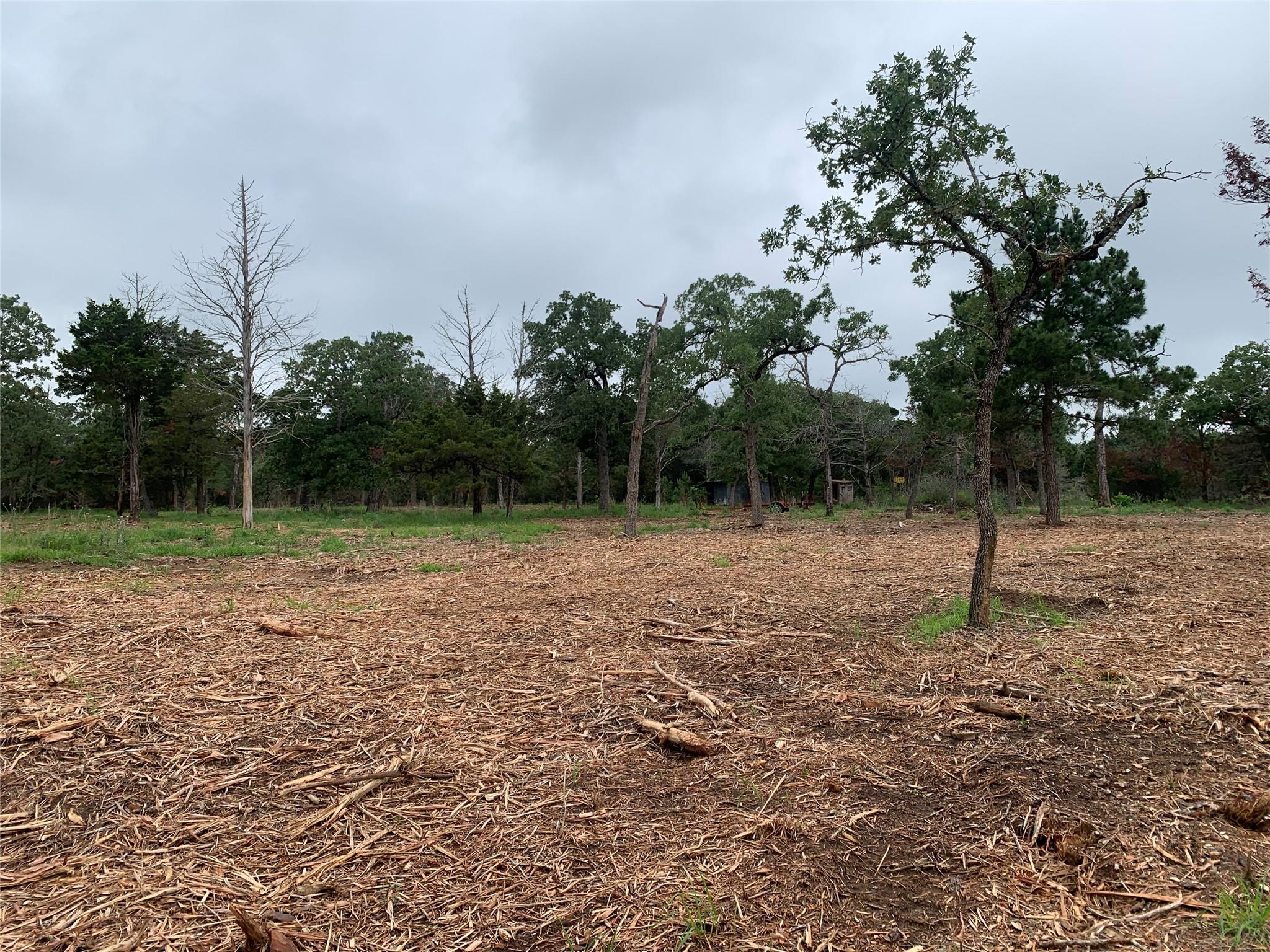 000 Pine Valley Loop Smithville TX 78612