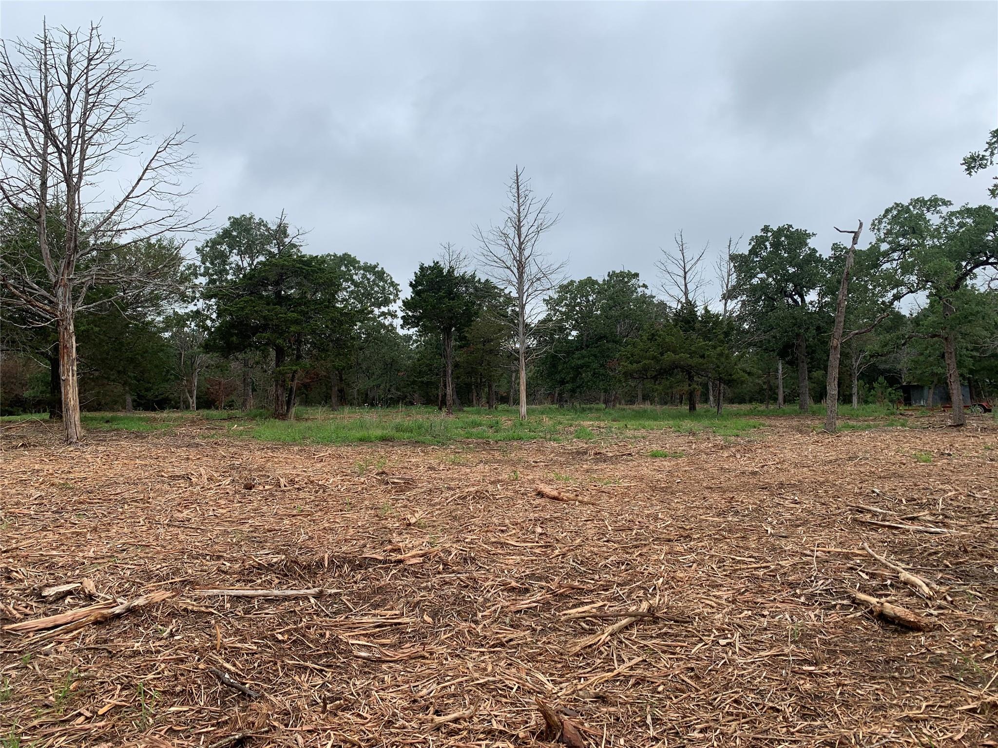 000 Pine Valley Loop Smithville TX 78612