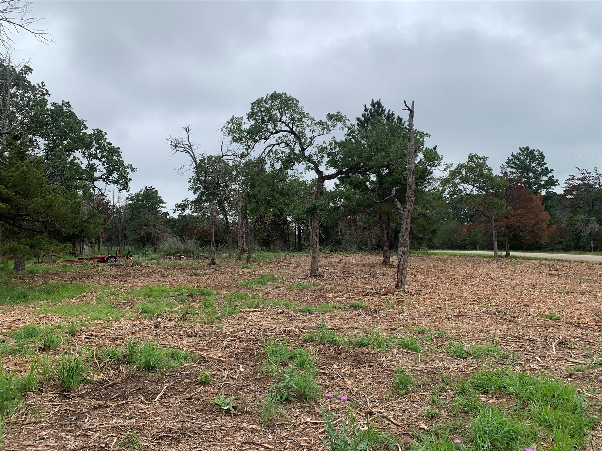 000 Pine Valley Loop Smithville TX 78612
