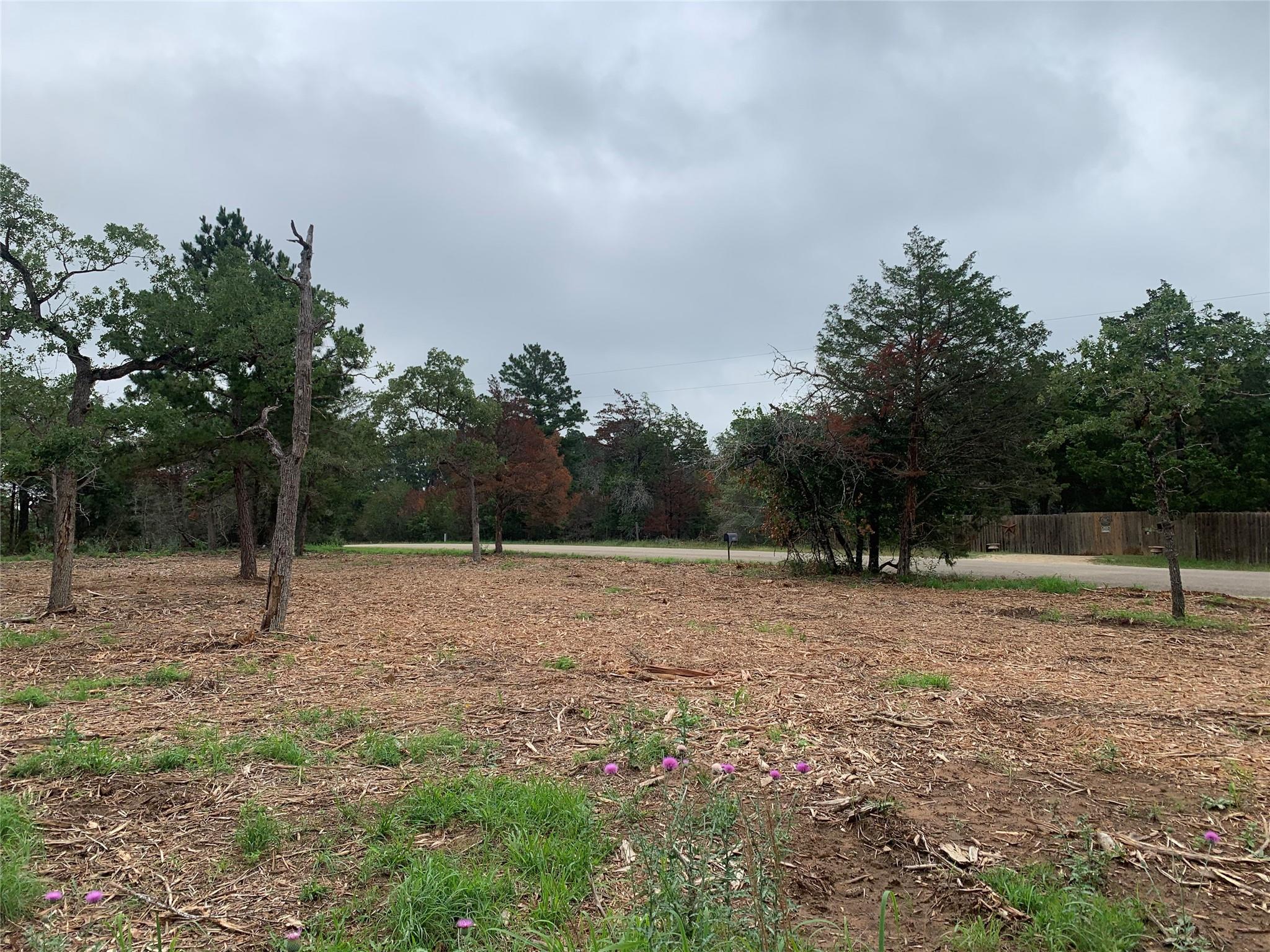 000 Pine Valley Loop Smithville TX 78612