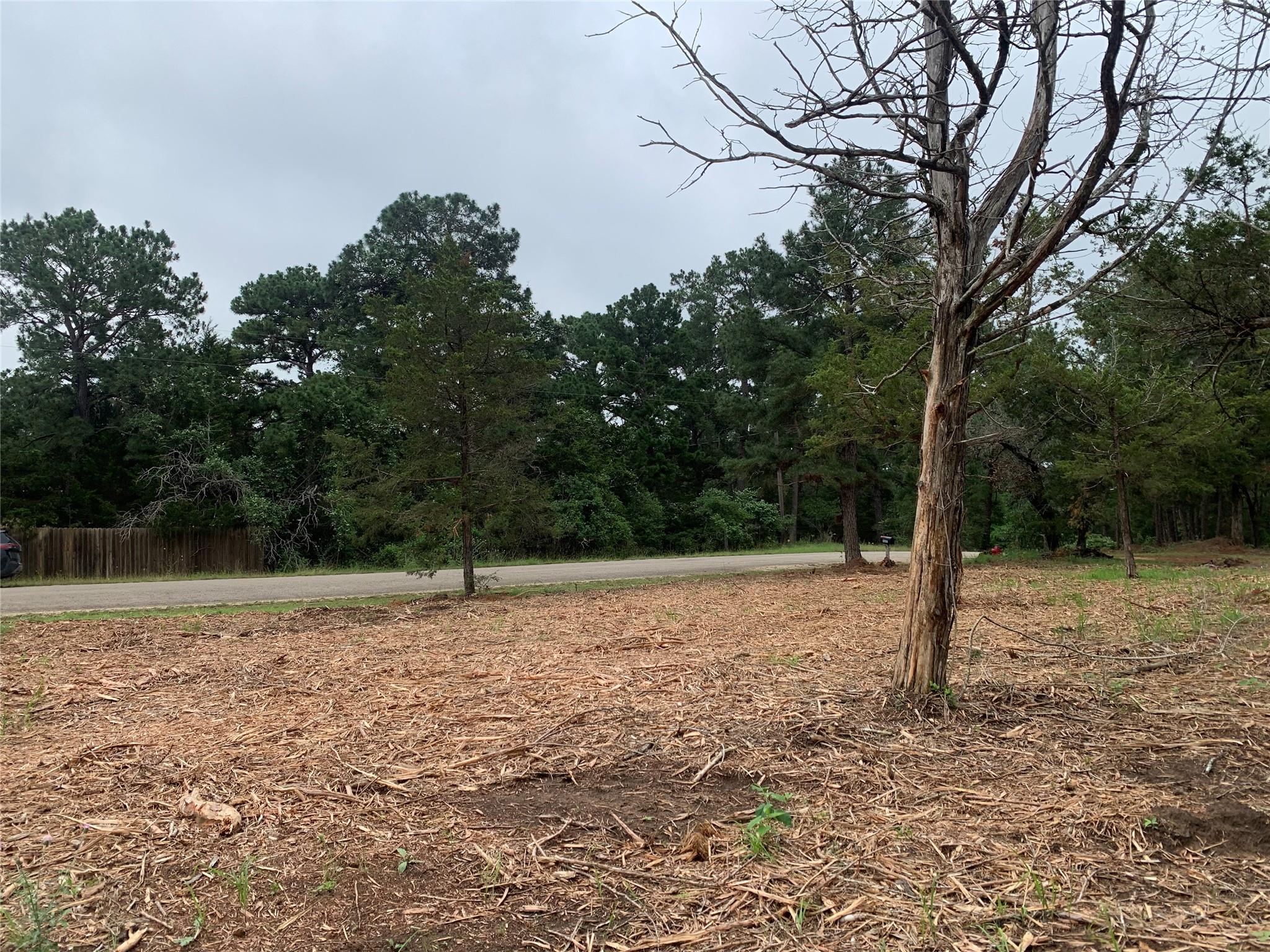 000 Pine Valley Loop Smithville TX 78612