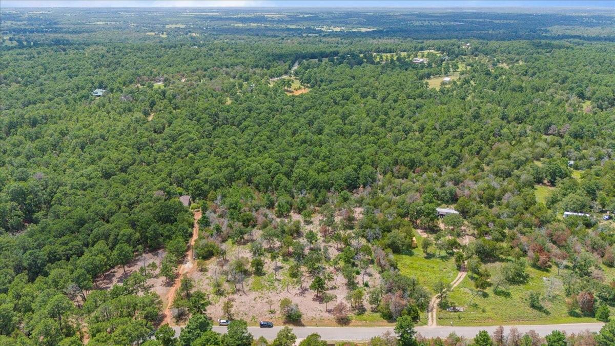 000 Pine Valley Loop Smithville TX 78612