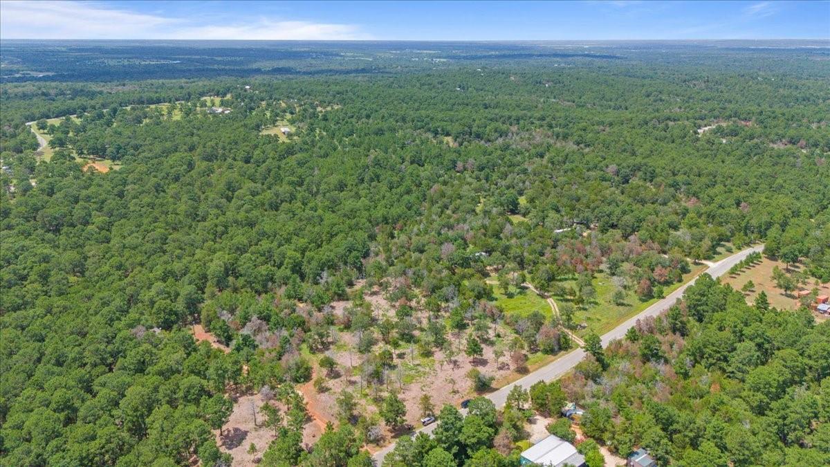 000 Pine Valley Loop Smithville TX 78612