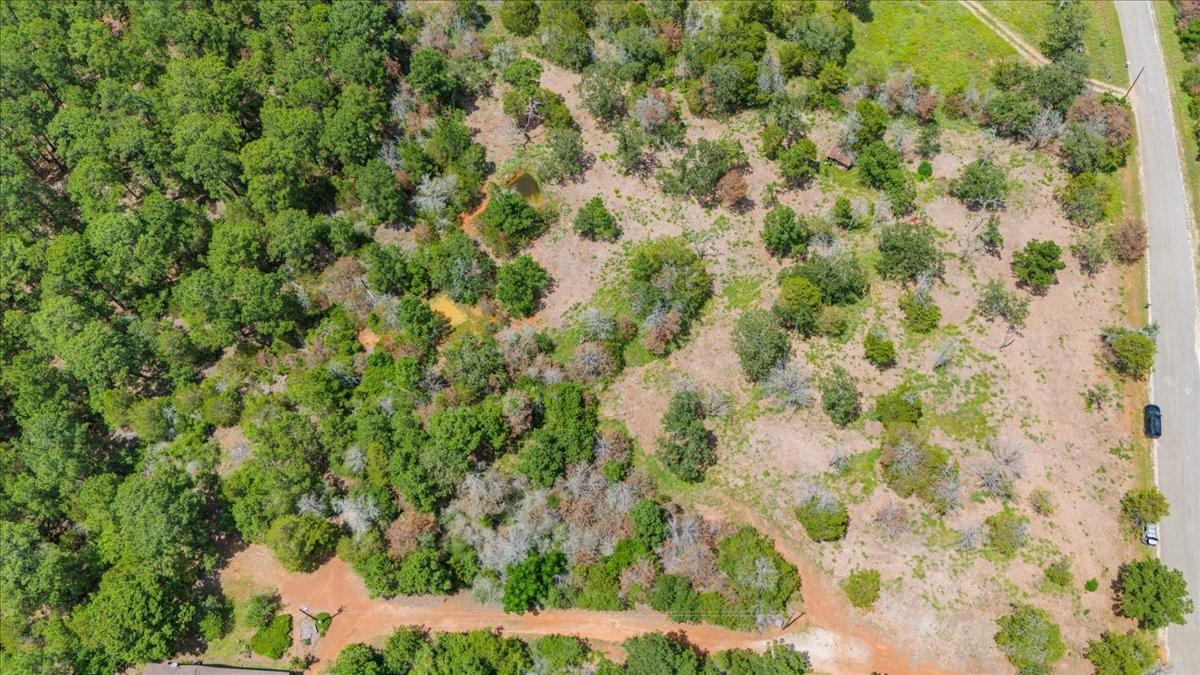000 Pine Valley Loop Smithville TX 78612
