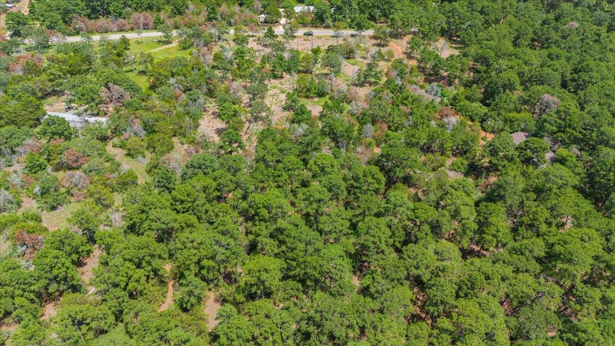 000 Pine Valley Loop Smithville TX 78612
