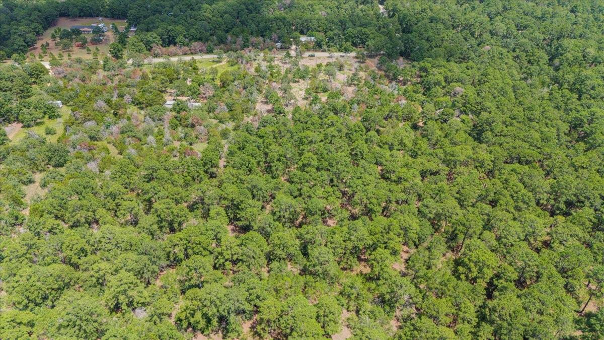 000 Pine Valley Loop Smithville TX 78612